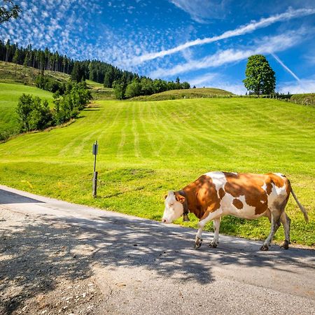 Bauernhaus Bichl Sankt Johann im Pongau Εξωτερικό φωτογραφία