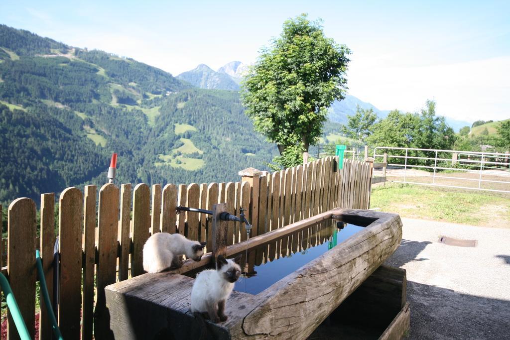 Bauernhaus Bichl Sankt Johann im Pongau Εξωτερικό φωτογραφία